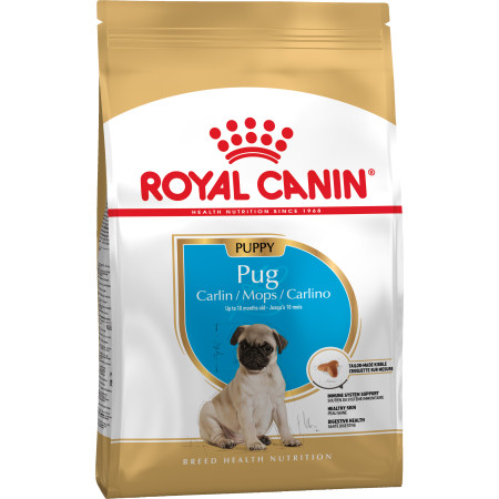 Royal Canin Pug Puppy – сухий корм для цуценят породи мопс, 1.5 кг Royal Canin Pug Puppy – сухий корм для цуценят породи мопс, 1.5 кг