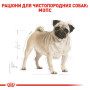 Royal Canin Pug Adult – сухий корм для дорослих собак породи мопс, 3 кг
