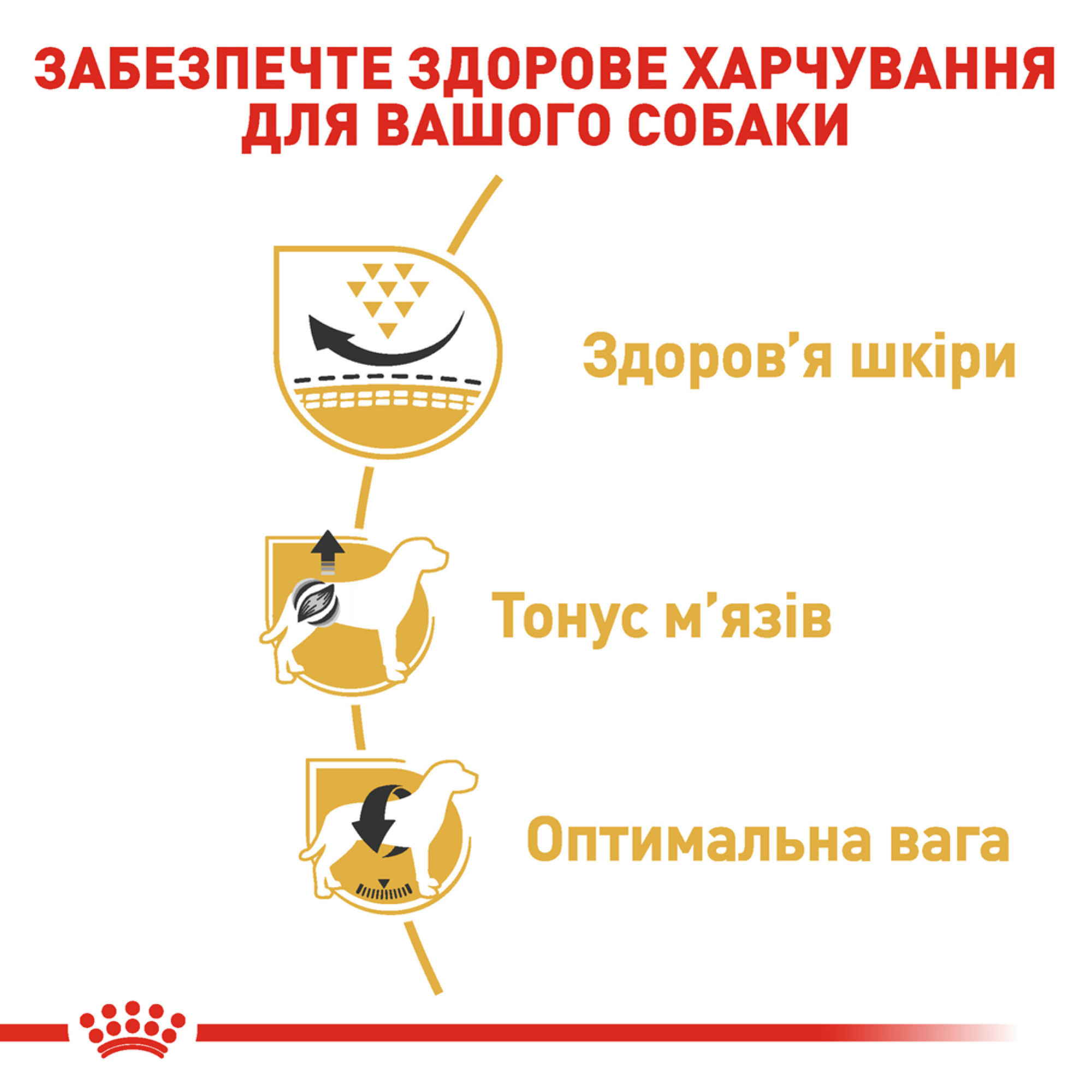 Royal Canin Pug Adult – сухий корм для дорослих собак породи мопс, 3 кг