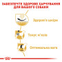 Royal Canin Pug Adult – сухий корм для дорослих собак породи мопс, 3 кг