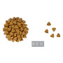 Royal Canin Renal Feline Special – сухий дієтичний корм для котів із хронічною нирковою недостатністю з підвищеною смаковою привабливістю, 400 г