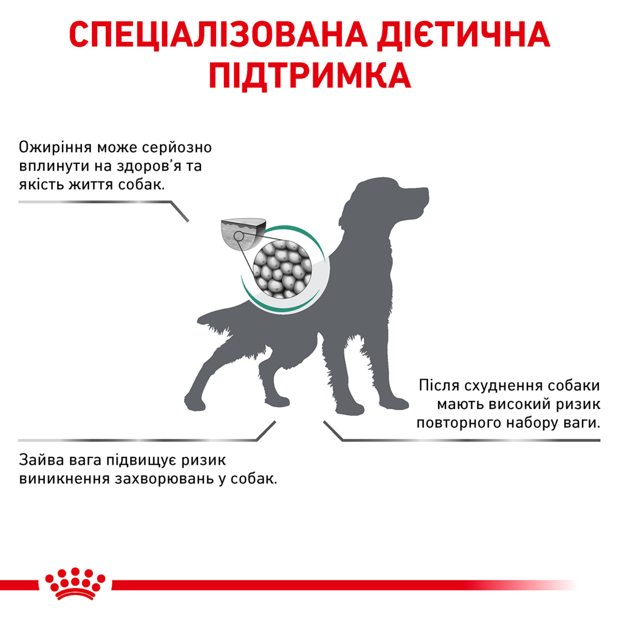 Royal Canin Satiety Weight Management Canine – диетический сухой корм для собак с избыточным весом и ожирением, 1.5 кг