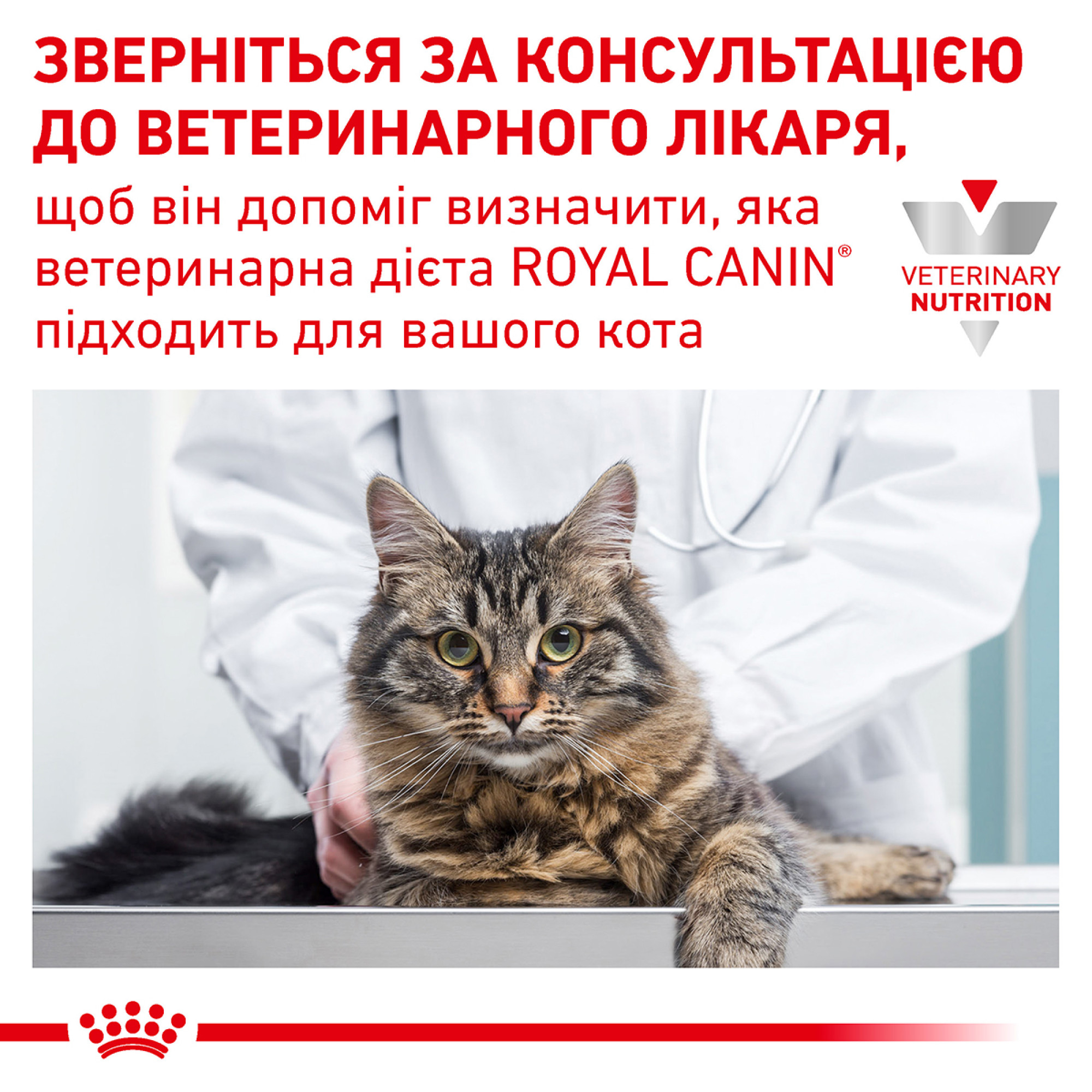 Royal Canin Satiety Weight Management Feline – сухий дієтичний корм для котів із зайвою вагою, 1.5 кг