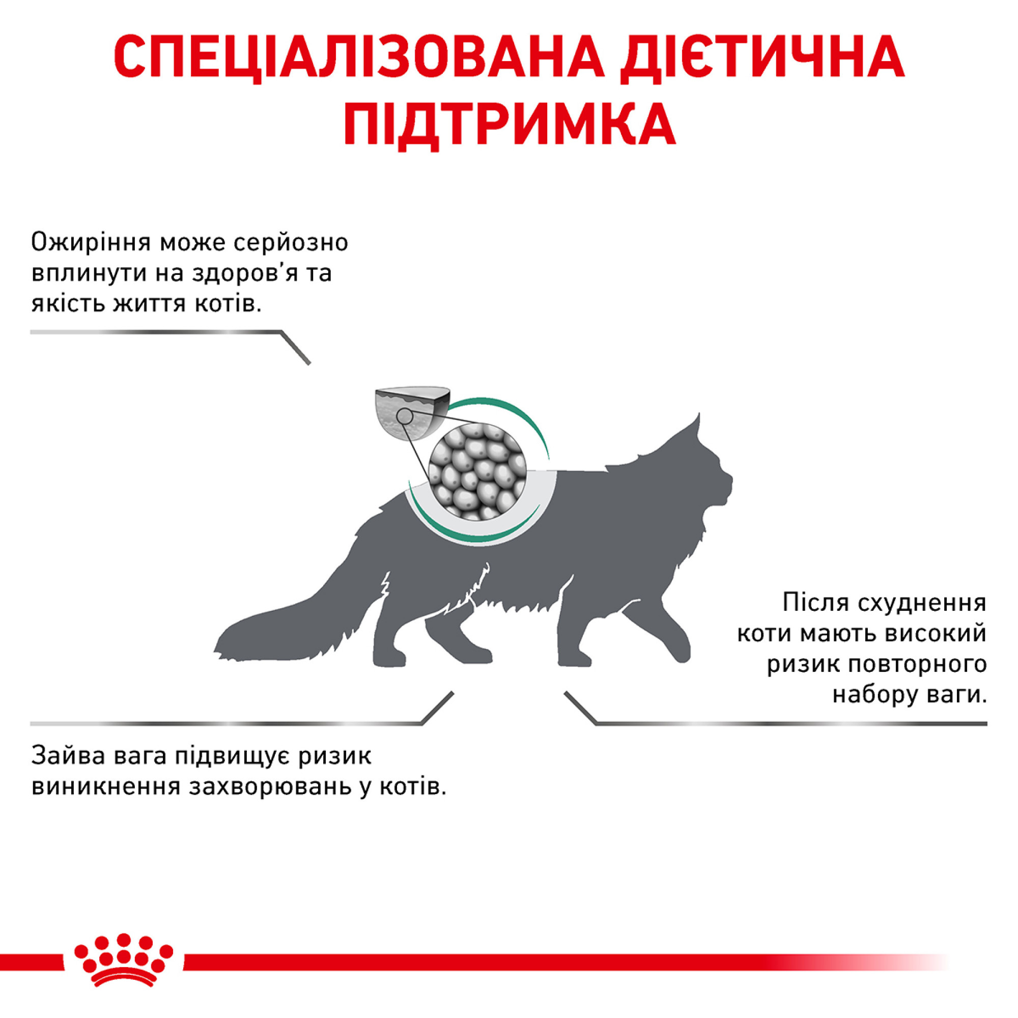 Royal Canin Satiety Weight Management Feline – сухий дієтичний корм для котів із зайвою вагою, 1.5 кг