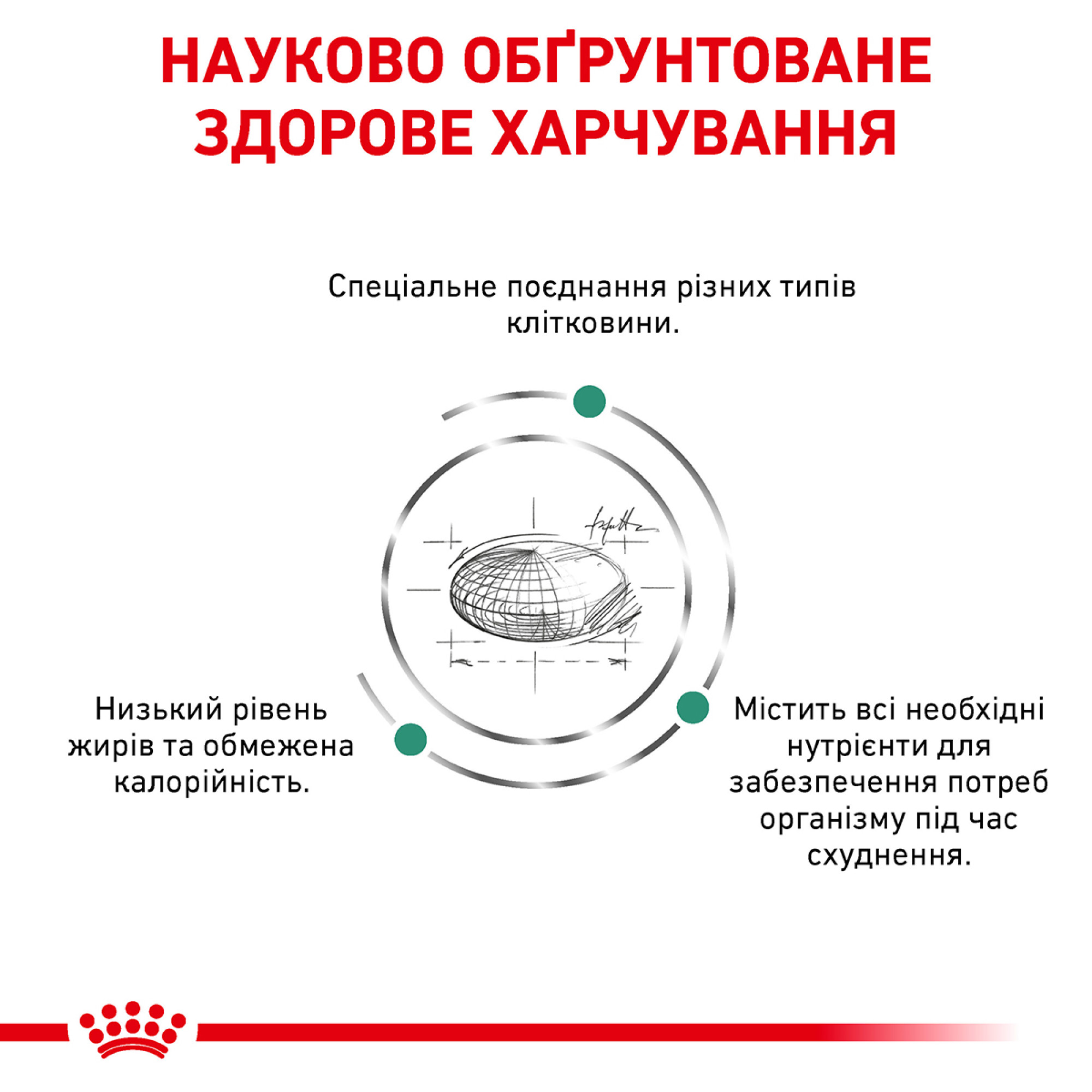 Royal Canin Satiety Weight Management Feline – сухий дієтичний корм для котів із зайвою вагою, 1.5 кг