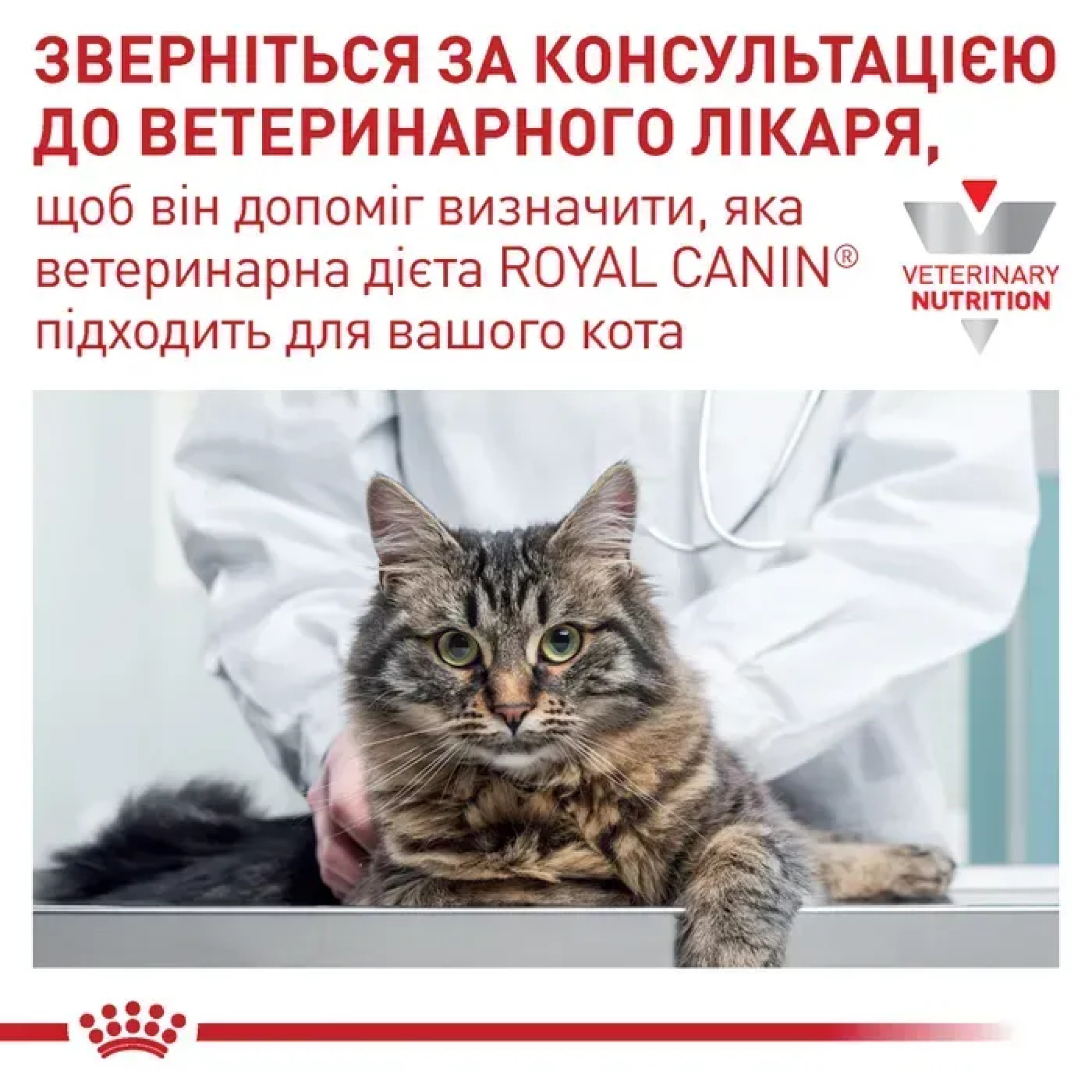 Royal Canin Satiety Weight Management вологий корм для котів, 85 г
