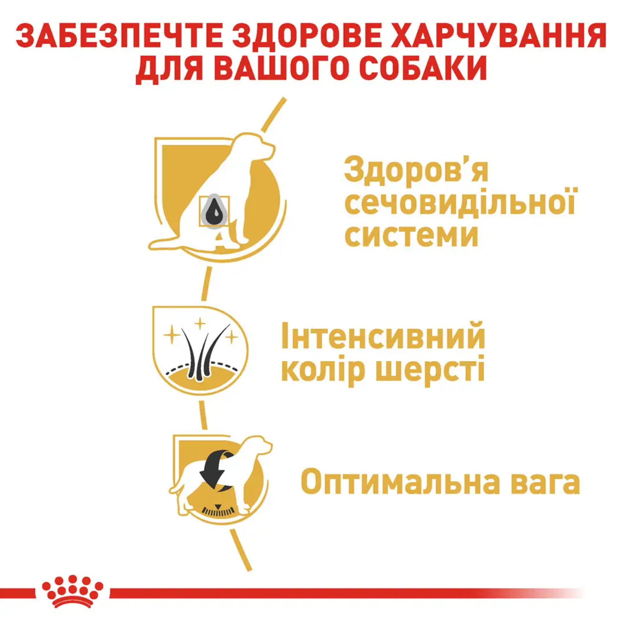 Royal Canin Miniature Schnauzer Adult – сухой корм для взрослых собак породы миниатюрный шнауцер, 7.5 кг