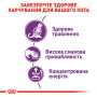 Royal Canin Sensible – сухий корм для дорослих котів із чутливим травленням, 2 кг
