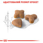 Royal Canin Sensible – сухий корм для дорослих котів із чутливим травленням, 2 кг