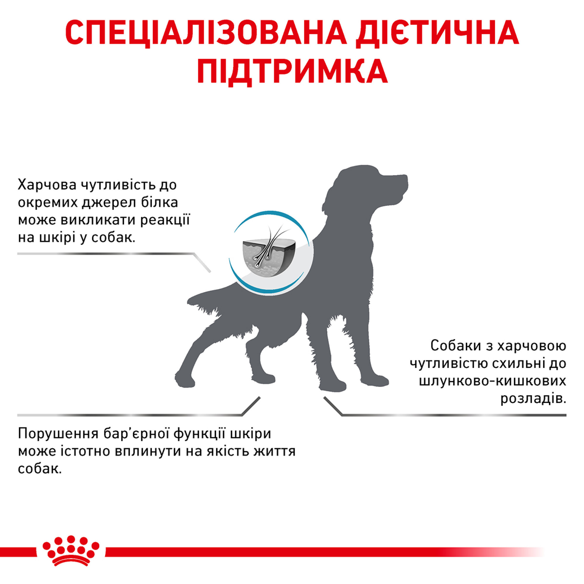 Royal Canin Sensitivity Control Canine – дієтичний сухий корм для собак із чутливим травленням та харчовою непереносимістю, 14 кг
