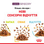 Royal Canin Sensory Feel в желе – вологий корм для дорослих котів, 85 г