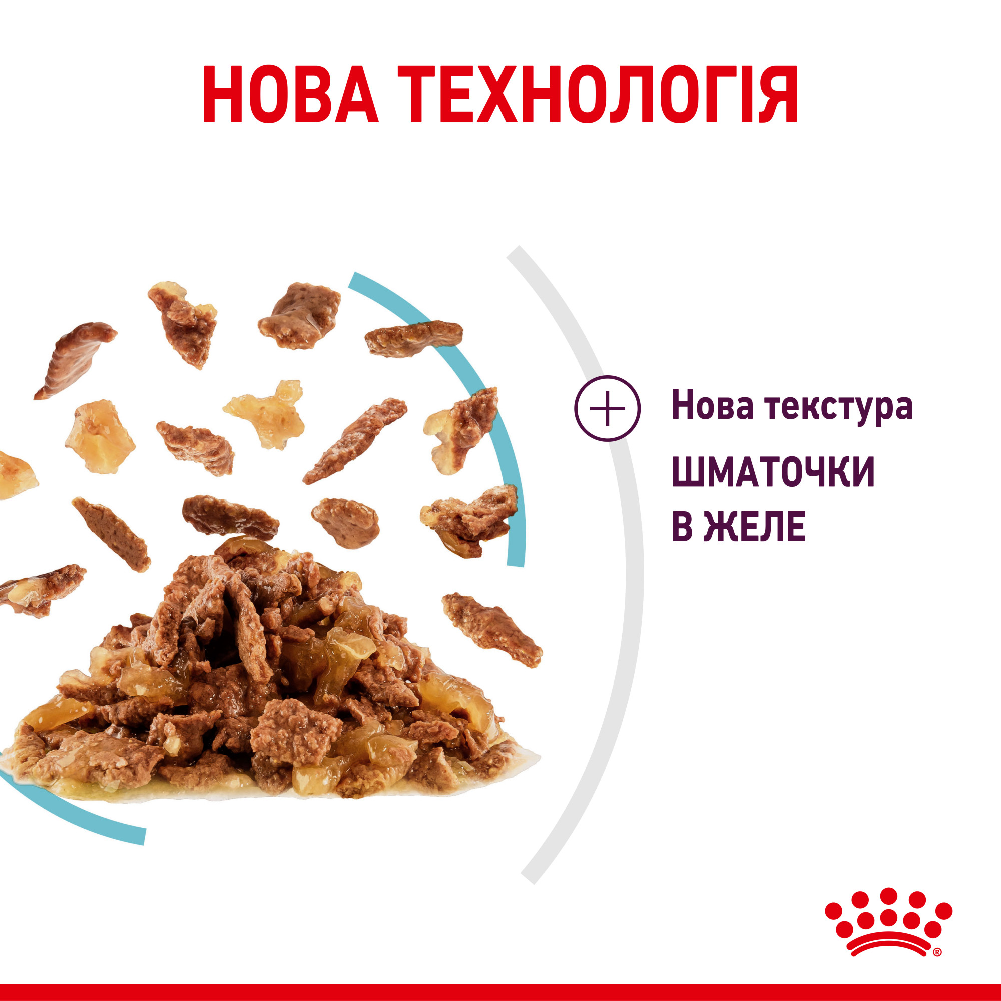 Royal Canin Sensory Feel в желе – вологий корм для дорослих котів, 85 г