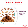 Royal Canin Sensory Feel в желе – вологий корм для дорослих котів, 85 г
