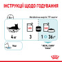 Royal Canin Sensory Feel в желе – вологий корм для дорослих котів, 85 г