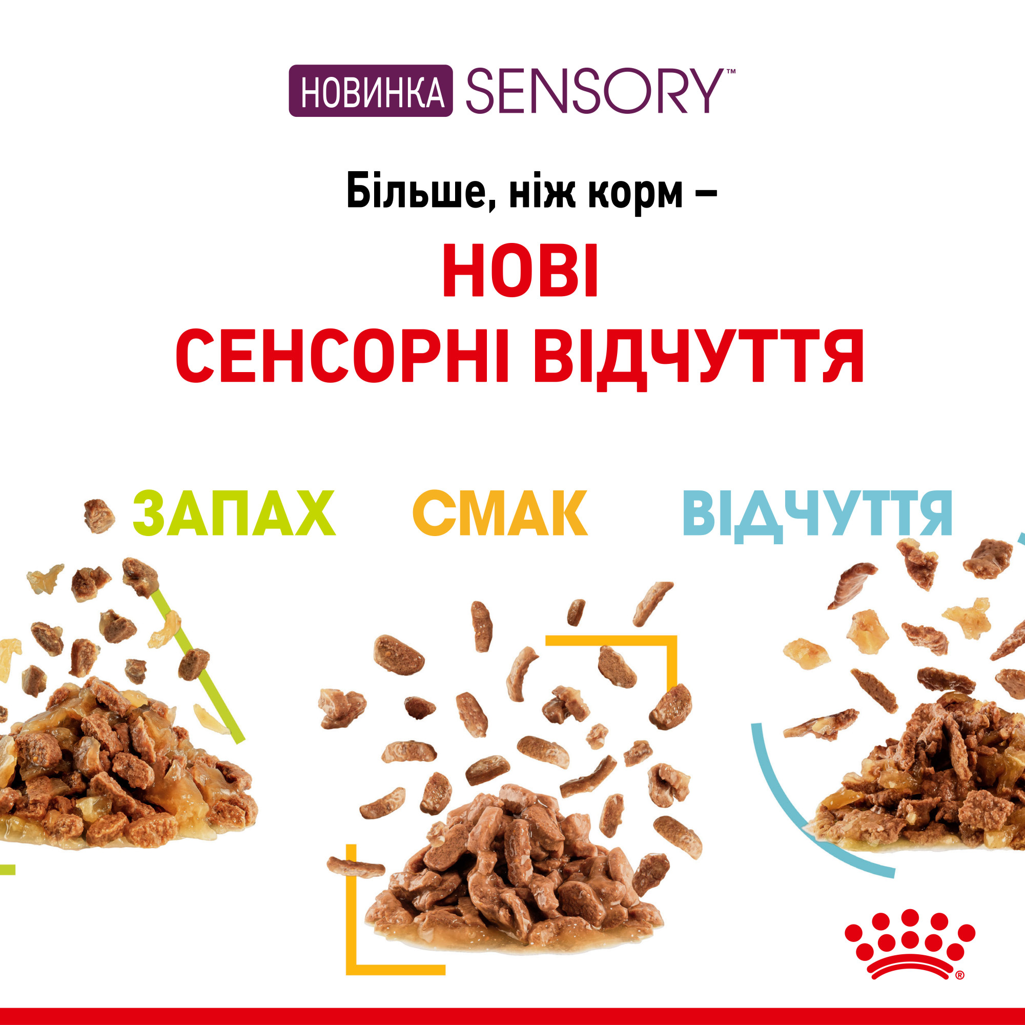 Royal Canin Sensory Feel в соусі – вологий корм для дорослих котів, 85 г