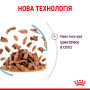 Royal Canin Sensory Feel в соусі – вологий корм для дорослих котів, 85 г