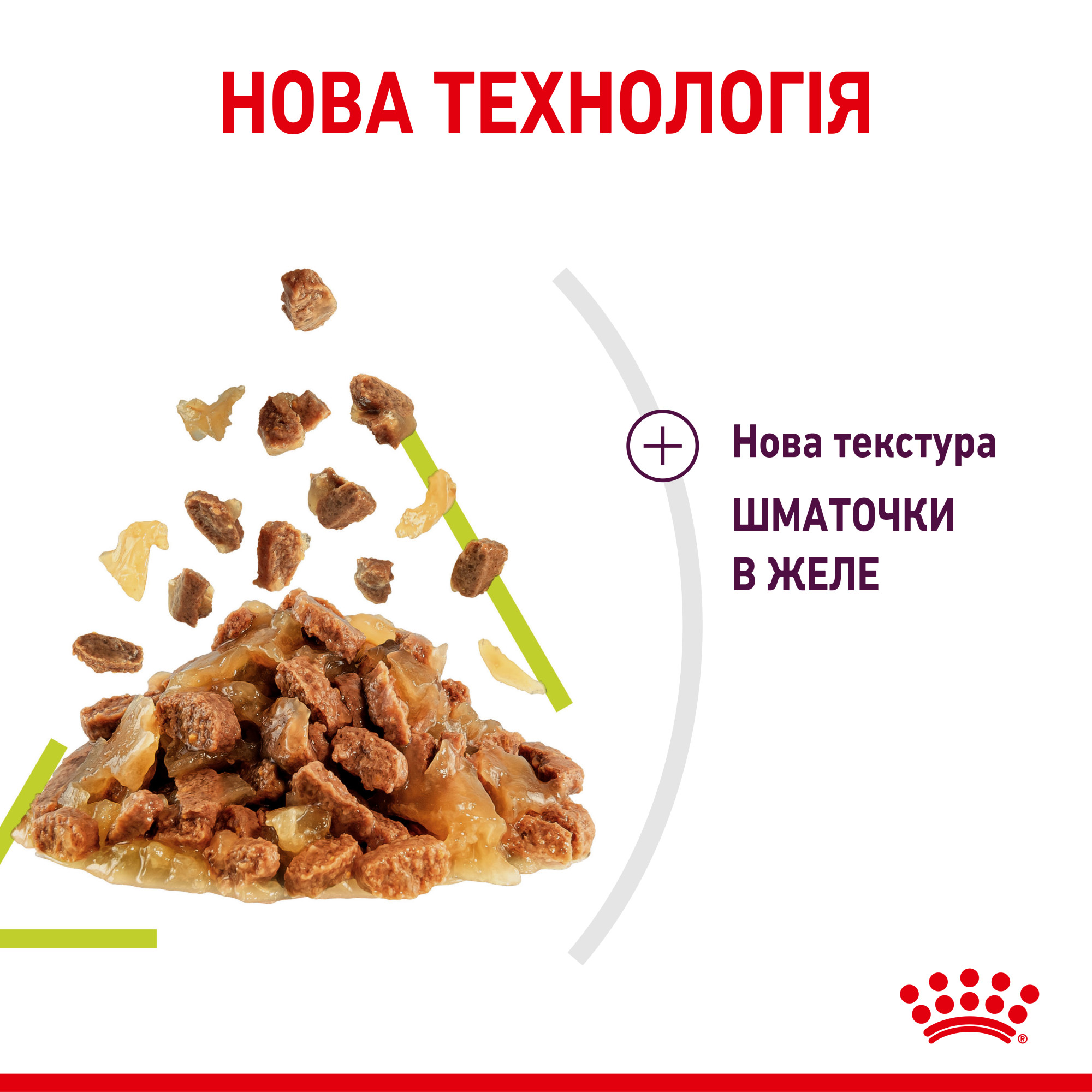 Royal Canin Sensory Smell в желе – вологий корм для дорослих котів, 85 г