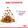 Royal Canin Sensory Smell в желе – вологий корм для дорослих котів, 85 г