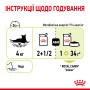 Royal Canin Sensory Smell в желе – вологий корм для дорослих котів, 85 г