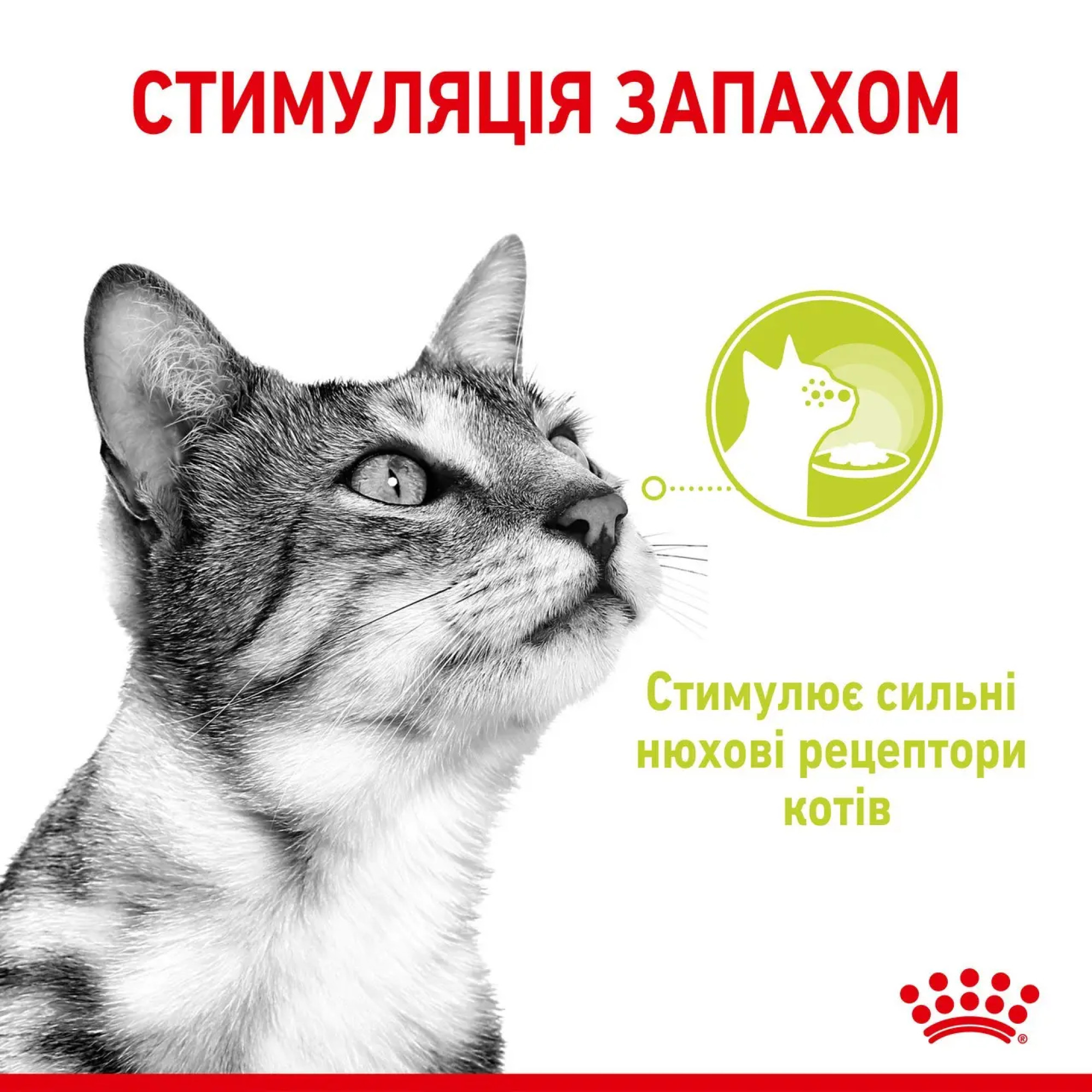 Royal Canin Sensory Smell в соусі – вологий корм для дорослих котів, 85 г
