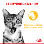 Royal Canin Sensory Taste в желе – вологий корм для дорослих котів, 85 г