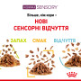 Royal Canin Sensory Taste в желе – вологий корм для дорослих котів, 85 г
