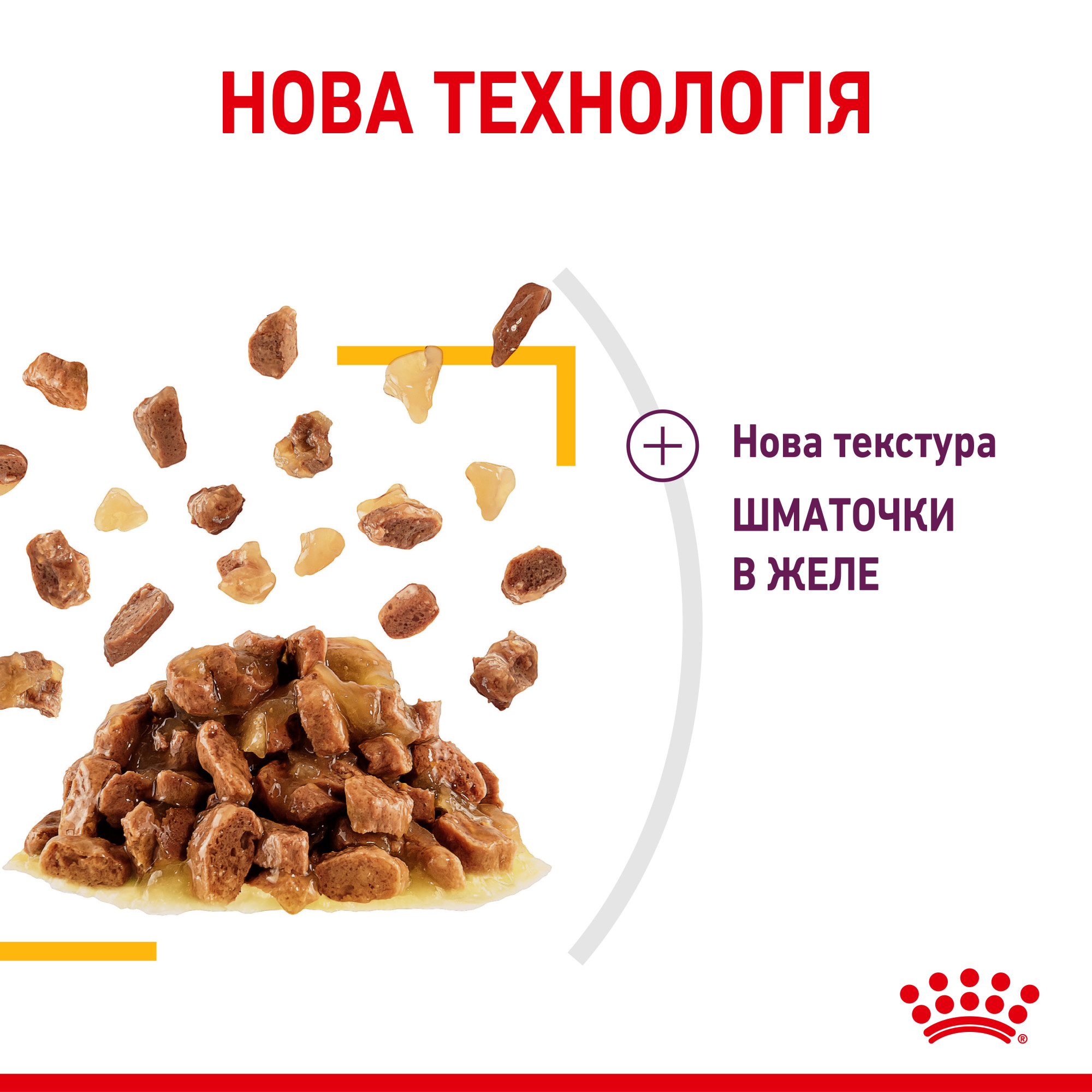 Royal Canin Sensory Taste в желе – вологий корм для дорослих котів, 85 г