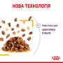 Royal Canin Sensory Taste в желе – вологий корм для дорослих котів, 85 г