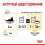 Royal Canin Sensory Taste в желе – вологий корм для дорослих котів, 85 г
