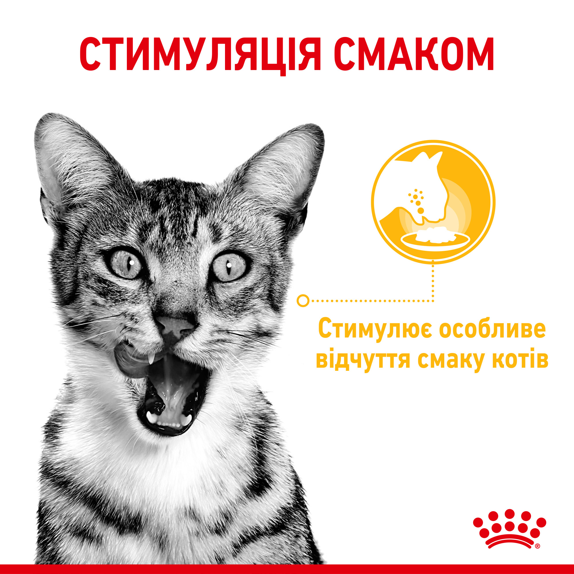 Royal Canin Sensory Taste в соусі – вологий корм для дорослих котів, 85 г