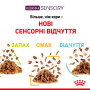 Royal Canin Sensory Taste в соусі – вологий корм для дорослих котів, 85 г
