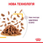 Royal Canin Sensory Taste в соусі – вологий корм для дорослих котів, 85 г