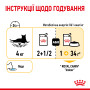 Royal Canin Sensory Taste в соусі – вологий корм для дорослих котів, 85 г