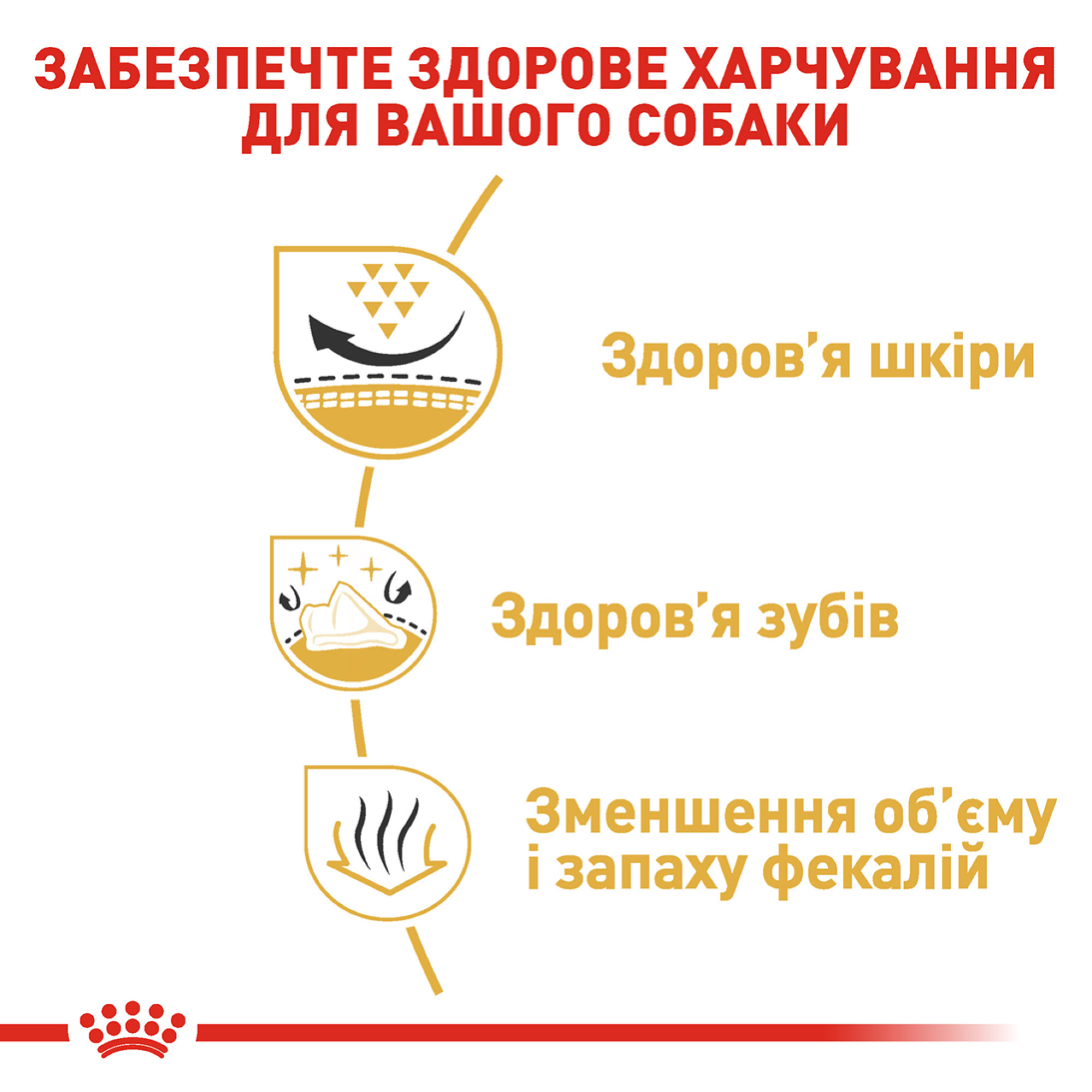 Royal Canin Shih Tzu Adult – сухой корм для взрослых собак породы ши-тцу, 1.5 кг