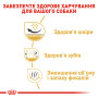 Royal Canin Shih Tzu Adult – сухой корм для взрослых собак породы ши-тцу, 1.5 кг
