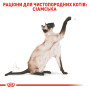 Royal Canin Siamese Adult – сухой корм для взрослых кошек породы сиамская, 400 г