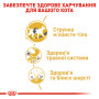 Royal Canin Siamese Adult – сухой корм для взрослых кошек породы сиамская, 400 г