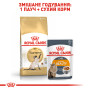 Royal Canin Siamese Adult – сухой корм для взрослых кошек породы сиамская, 400 г