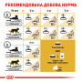 Royal Canin Siamese Adult – сухой корм для взрослых кошек породы сиамская, 400 г