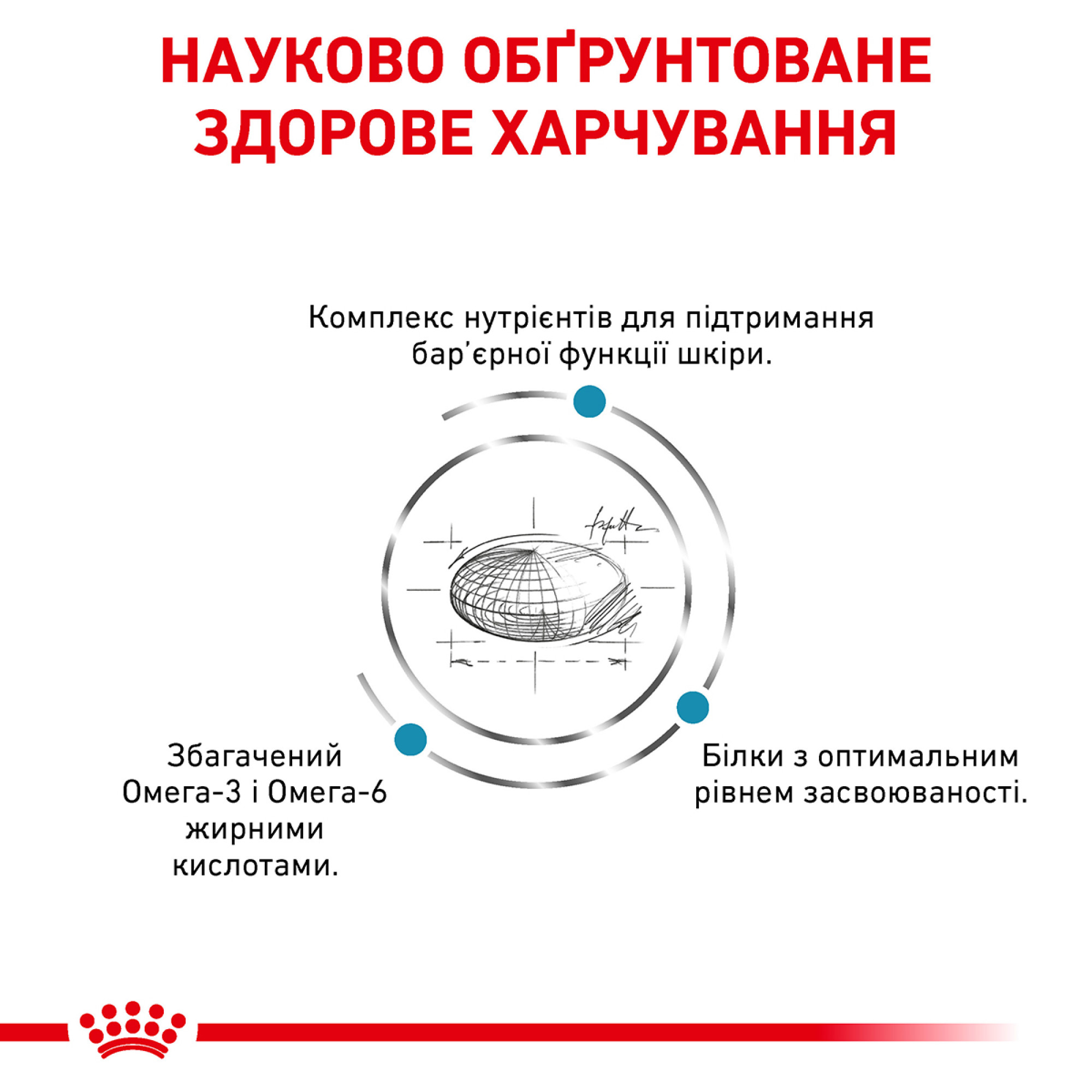 Royal Canin Skin Care Adult Canine – дієтичний сухий корм для собак із чутливою шкірою та дерматологічними проблемами,11 кг