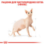 Royal Canin Sphynx Adult – сухий корм для дорослих котів породи сфінкс, 10 кг
