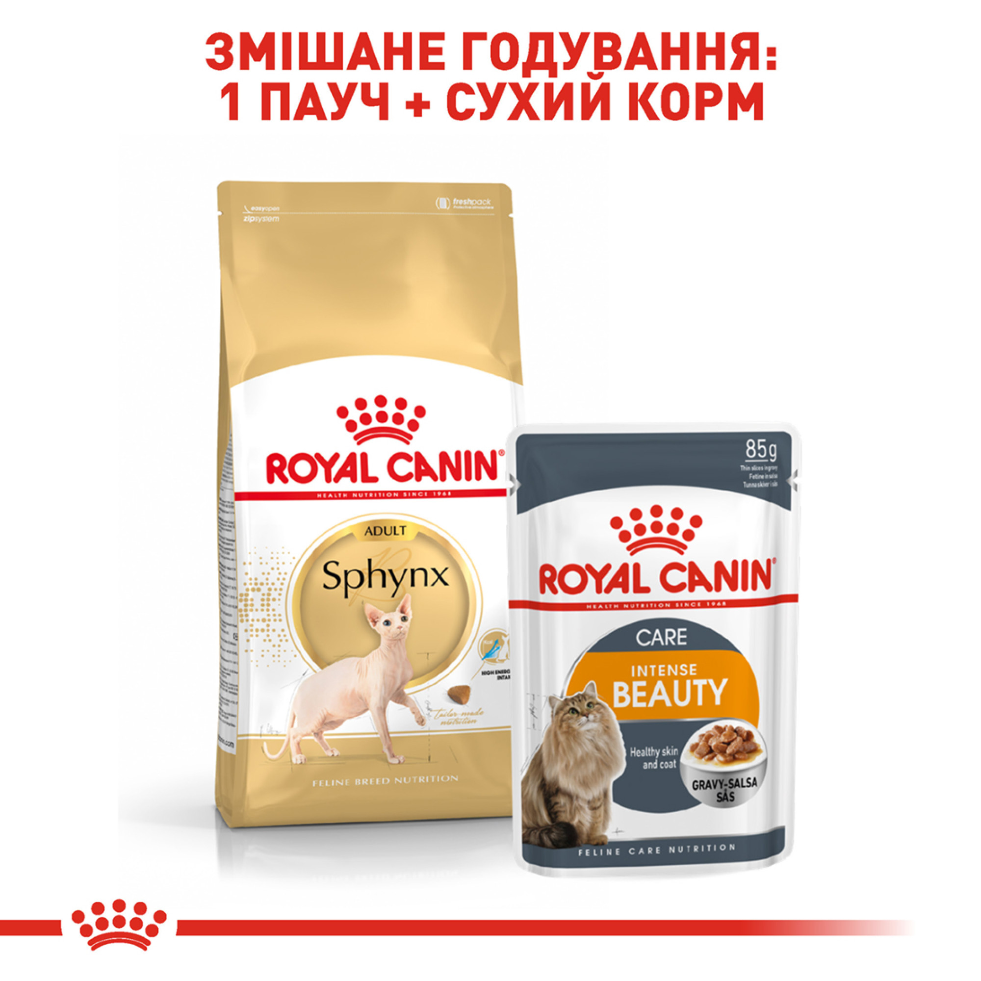 Royal Canin Sphynx Adult – сухий корм для дорослих котів породи сфінкс, 10 кг