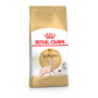Royal Canin Sphynx Adult – сухий корм для дорослих котів породи сфінкс, 10 кг