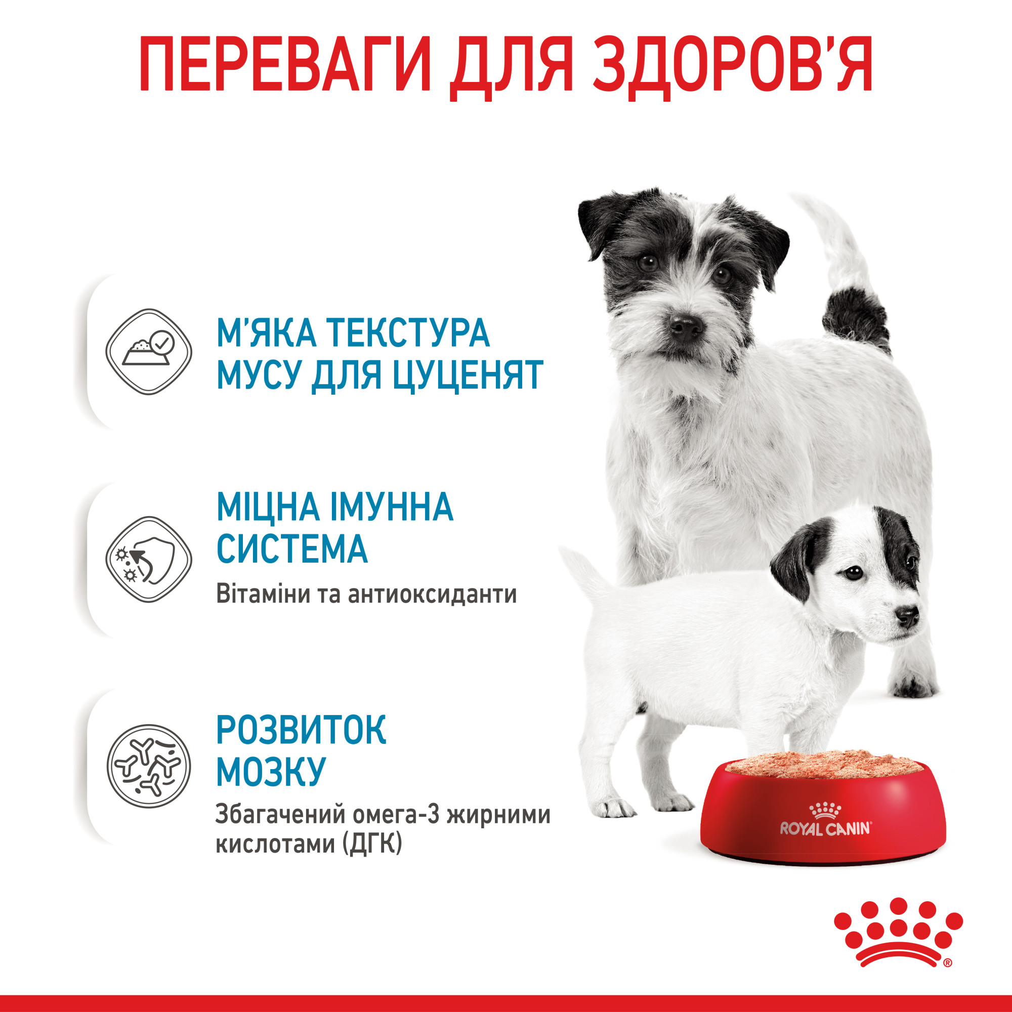 Royal Canin Starter Mousse Mother & Babydog – влажный корм (мусс) для щенков и собак в период лактации и беременности, 195 г