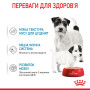 Royal Canin Starter Mousse Mother & Babydog – влажный корм (мусс) для щенков и собак в период лактации и беременности, 195 г