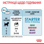 Royal Canin Starter Mousse Mother & Babydog – влажный корм (мусс) для щенков и собак в период лактации и беременности, 195 г