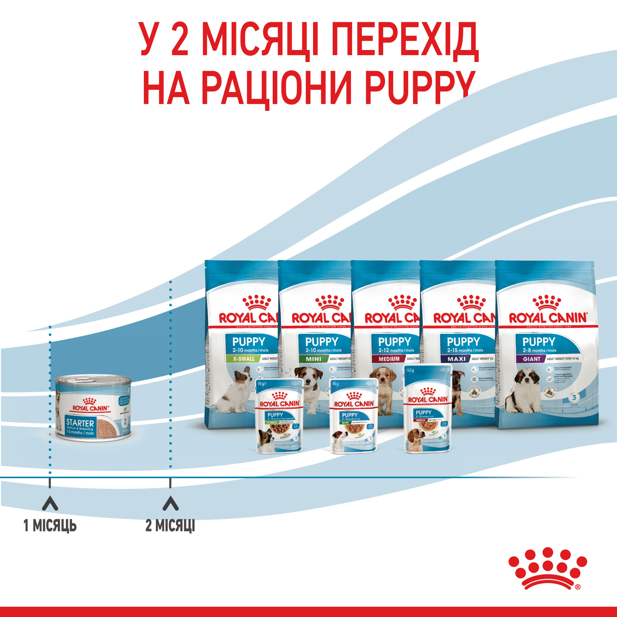 Royal Canin Starter Mousse Mother & Babydog – влажный корм (мусс) для щенков и собак в период лактации и беременности, 195 г