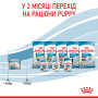 Royal Canin Starter Mousse Mother & Babydog – влажный корм (мусс) для щенков и собак в период лактации и беременности, 195 г