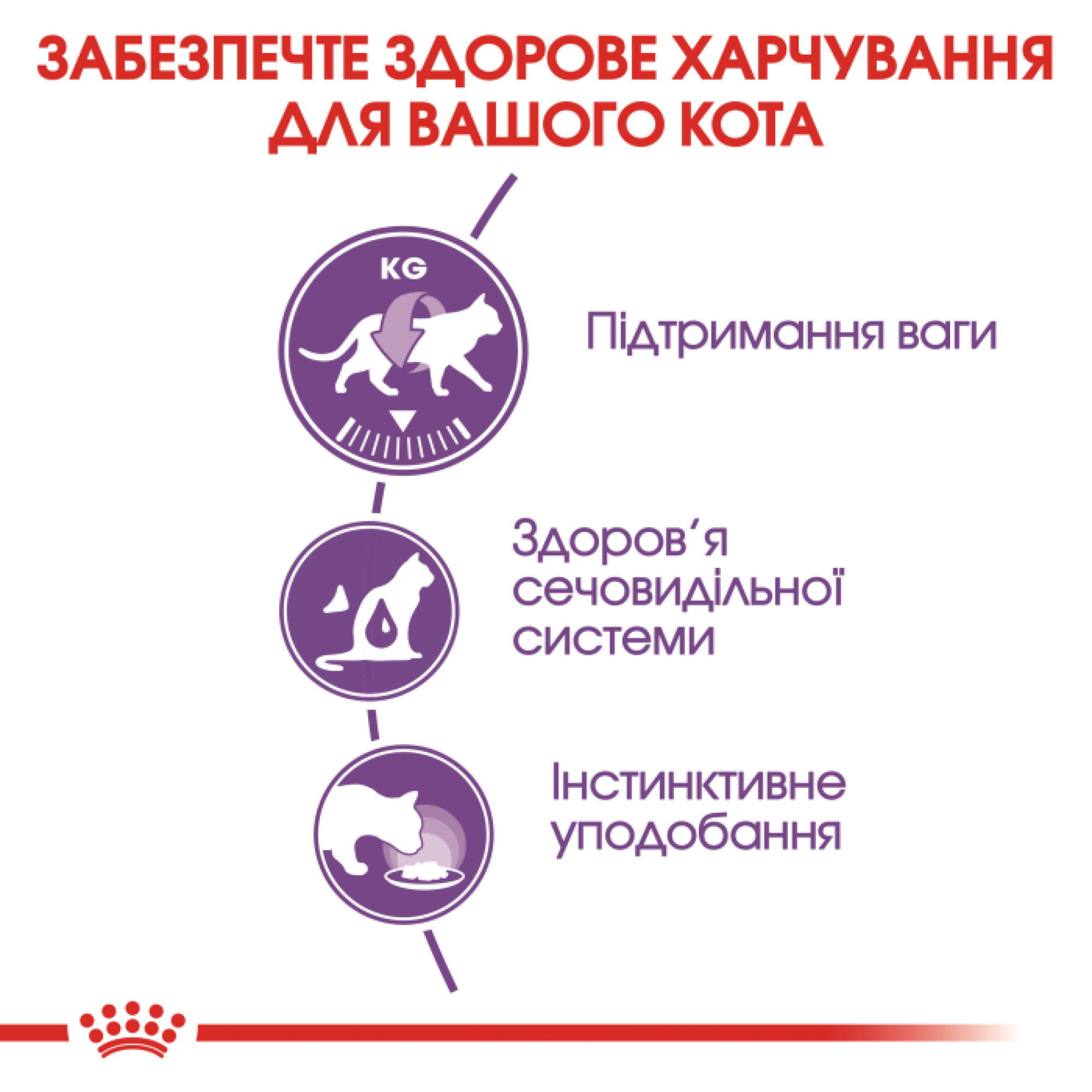 Royal Canin Sterilised в желе для котів, 85 г