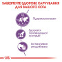 Royal Canin Sterilised в желе для котів, 85 г